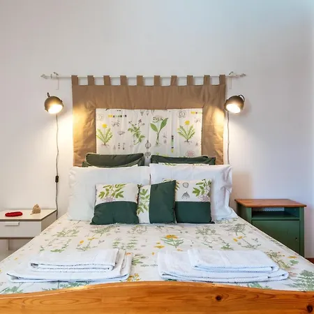 Apartment Alojamento Santa Maria