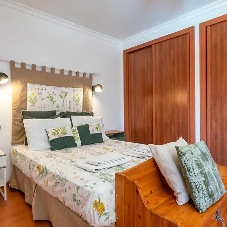 Apartment Alojamento Santa Maria *